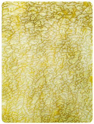 El acrílico amarillo de la perla de la textura del modelo de Python cubre 1850x1040m m